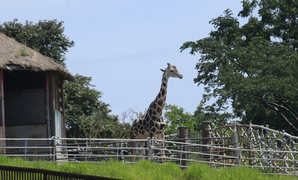 Honduras: Incautan 500 millones de dólares a 'Los Cachiros”
