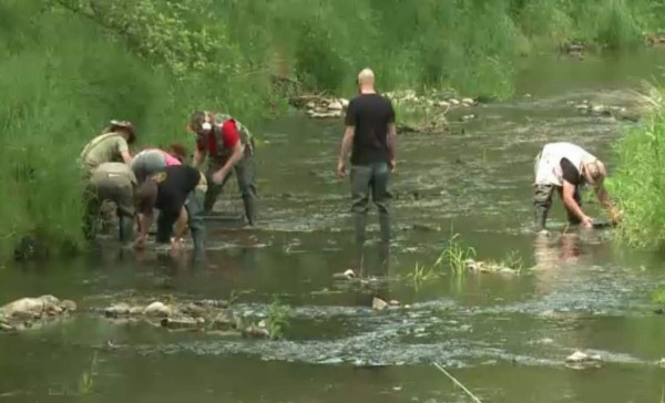 La fiebre del oro sigue viva en Polonia