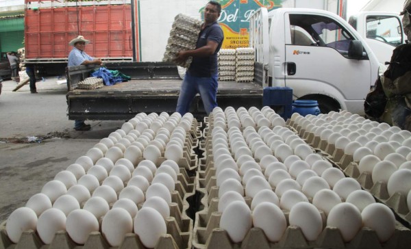Cartón de huevo mediano queda en L70 para los próximos 30 días
