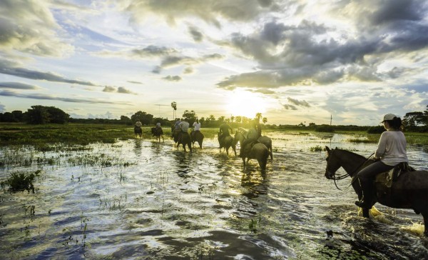 Mato Grosso, Brazil - March 5, 2014: Tourists ride horses in the Pantanal. The Pantanal is the world's largest tropical wetland areas located in Brazil , South America