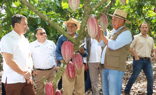 Todo listo para el Festival del Chocolate en el Lago de Yojoa