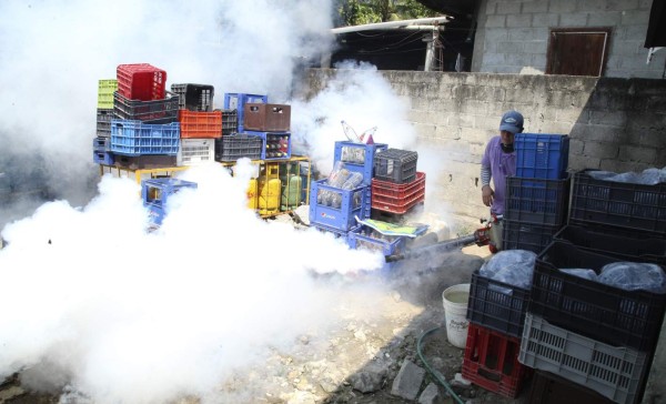 Masivas fumigaciones en El Zapotal tras muerte de niños por dengue