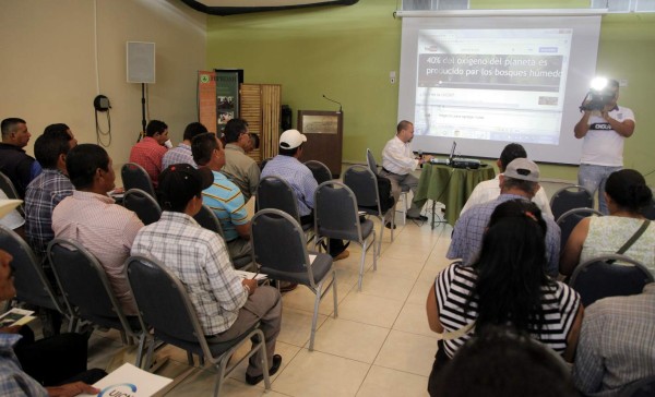 Socializan proceso para exportar madera hondureña hacia Europa