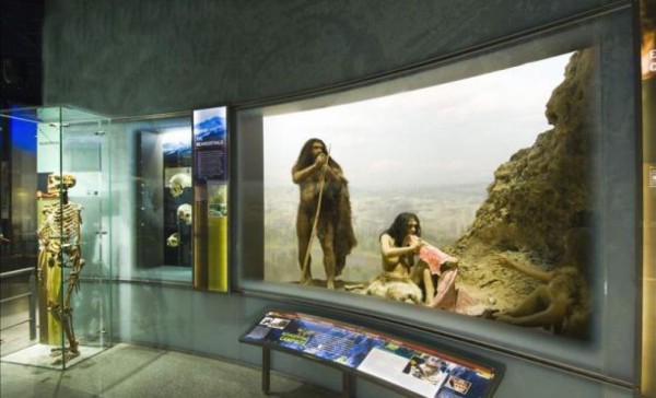 Una noche en el museo sólo para adultos