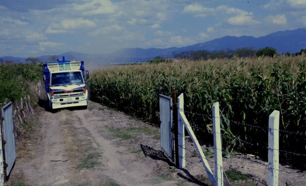 Promoverán sistemas de innovación agropecuaria