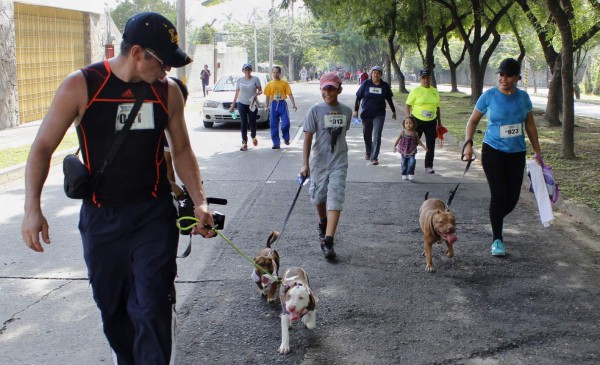 Sampedranos disfrutarán de recreovía y feria canina este domingo