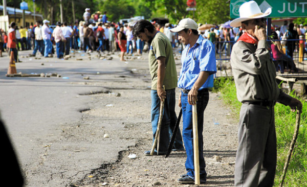 Recuperan tres fincas en sector del Bajo Aguán