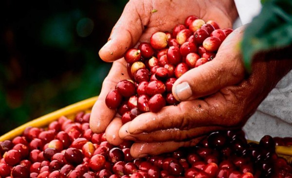 Mejora saldo de balanza comercial