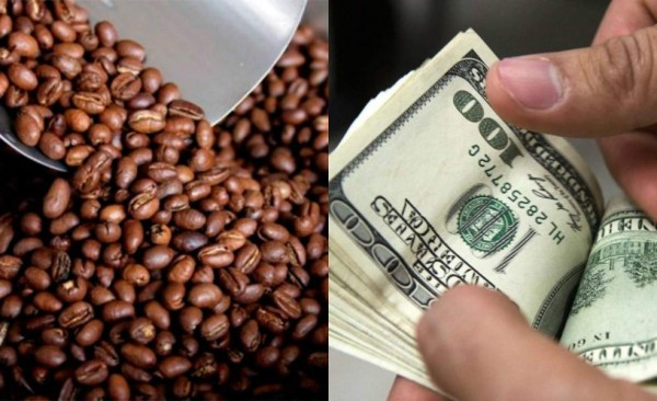 Honduras exporta 439,2 millones de dólares en café, 3% menos que cosecha pasada