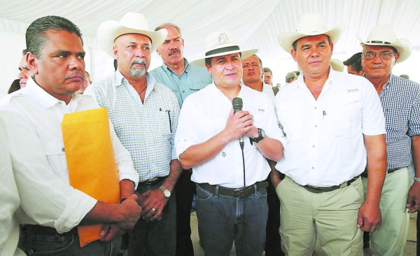 Gobierno otorgará L419 millones en préstamos para fortalecer la ganadería