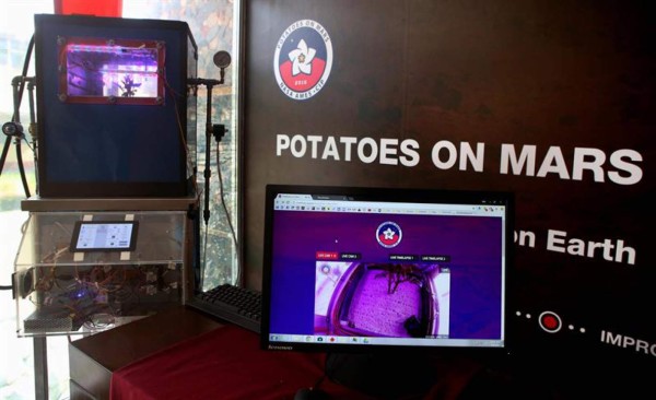 Científicos logran producir una papa 'marciana”