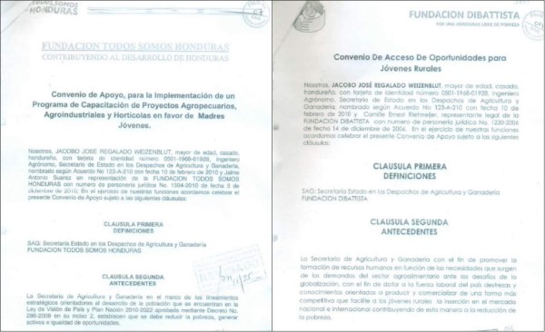 Más de seis mil páginas contiene el expediente del caso Pandora