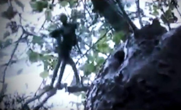 Siete seres extraños captados por cámaras de video