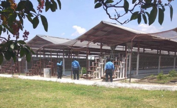 Investigan prisión de Comayagua por presuntos actos de corrupción