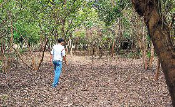 De 10 mil casas es el déficit anual en la ciudad