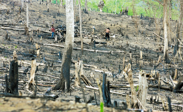 Las noticias más relevantes del Valle de Sula en 2010