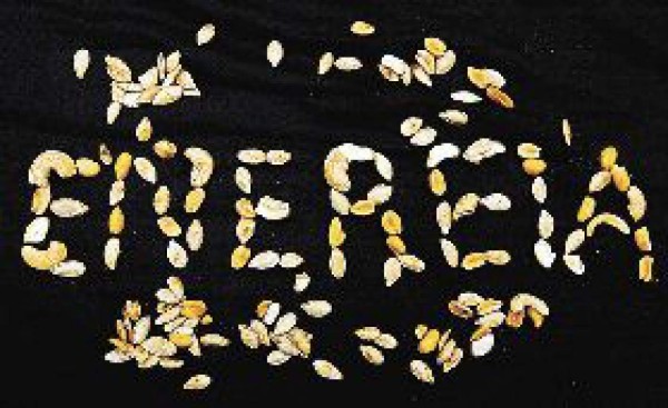 Proteínas y vitaminas