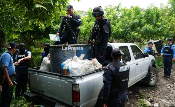 Enterrada hallan 350 libras de marihuana y cuatro fusiles