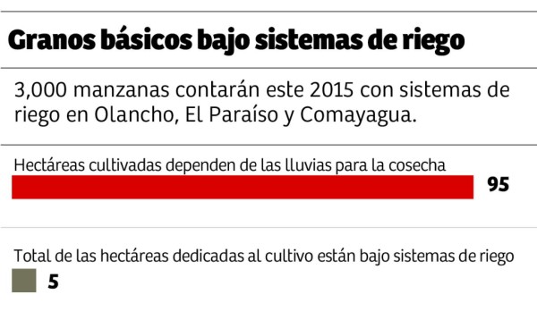 Solo el 5% del cultivo de granos básicos funcionan bajo riego