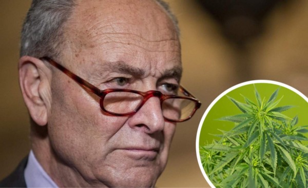EEUU: Senadores demócratas propondrán despenalizar la marihuana a nivel federal