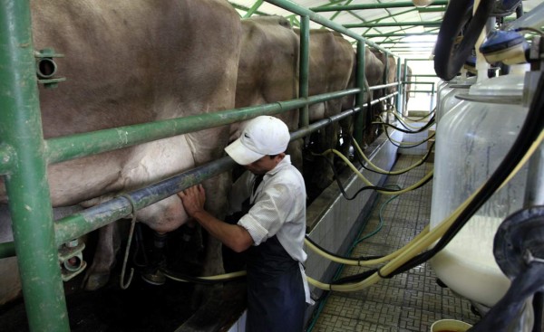 El 60% de las fincas ganaderas tendrán reservorios en 2 años