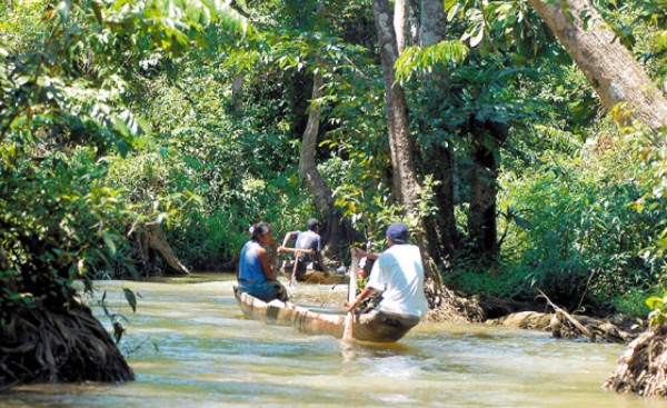 ¡Todos con la biosfera!