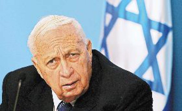 Tras 8 meses de coma, empeora la salud de Sharon