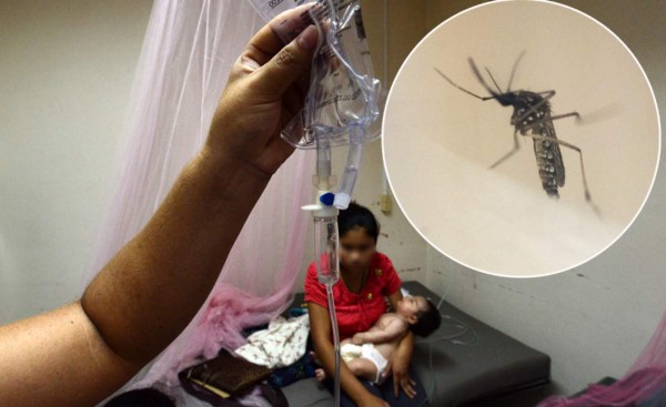 Salud confirma 128 muertes por dengue grave a nivel nacional