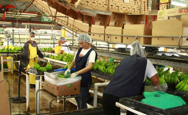 Empresarios de Latinoamérica y El Caribe conocen Plan 20/20