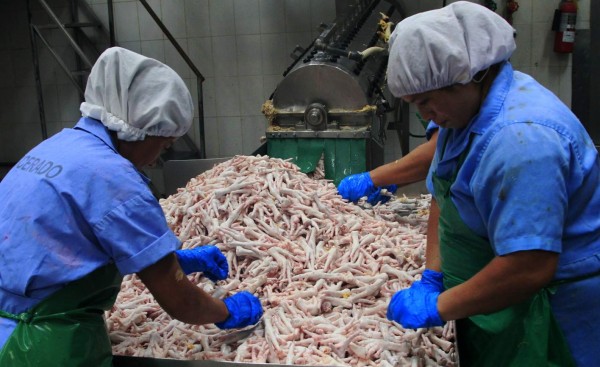 Caída de precios de los combustibles motiva la recuperación de la industria