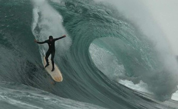 Muere un surfista atacado por un tiburón