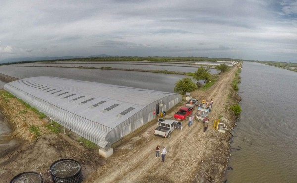 Empresarios del sur en alerta por reglamento