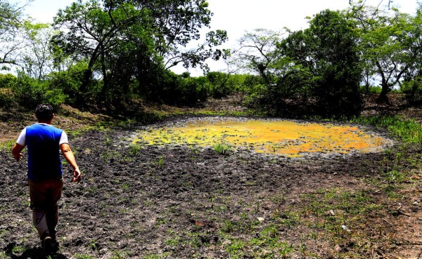 Lagunas y ríos de Honduras se evaporan por sequía