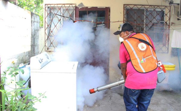 Emplean a mil personas para combatir el Aedes aegypti