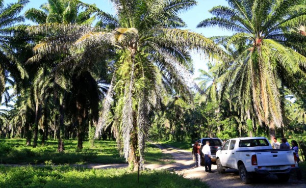 El Aguán recuperó la paz tras cinco años de terror