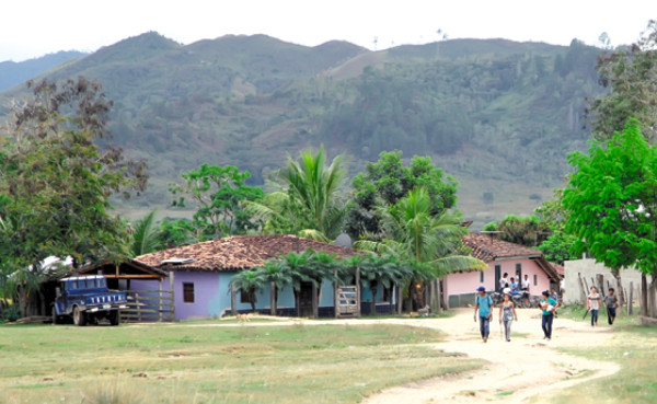Invasores destruyen la zona núcleo de la Biosfera