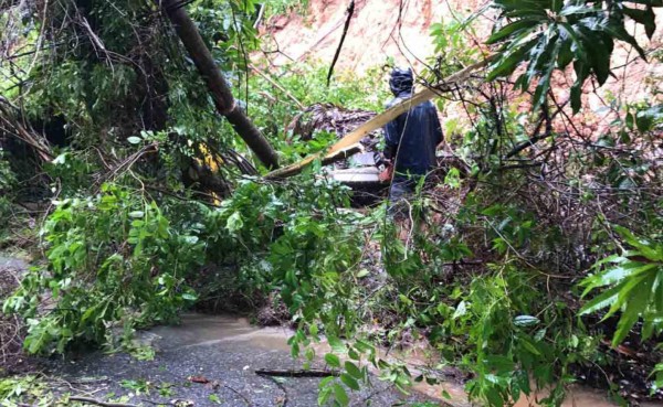 Lluvias dejan un muerto y destrucción en Roatán