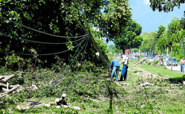 Unas 150,000 viviendas quedaron sin energía
