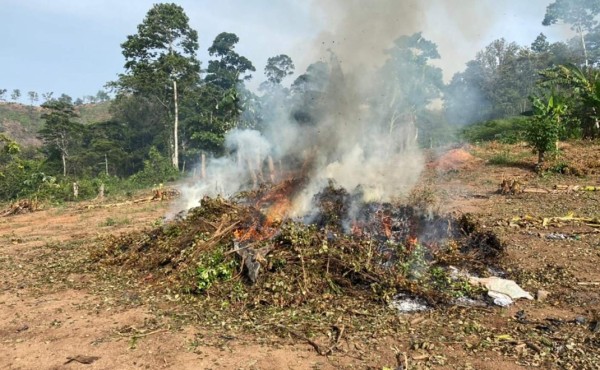 Foto: La Prensa