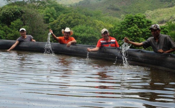 Honduras construirá cosechadoras de agua para ayudar a afectados por sequía