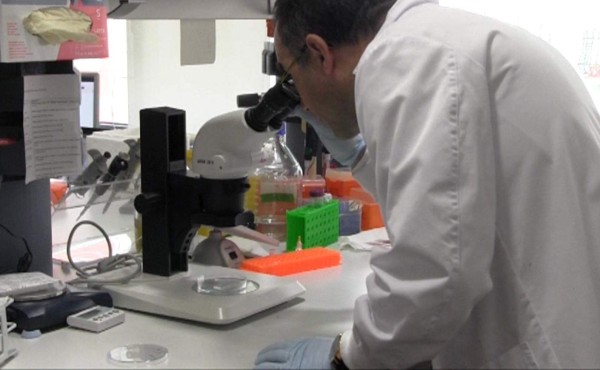 Florida confirma nuevo caso de la ameba 'comecerebros'