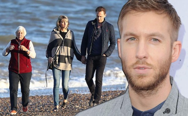 A Calvin Harris le irrita que Taylor Swift conociera ya a la familia de Tom Hiddleston