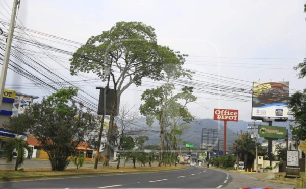 Prorrogan emergencia por COVID-19 en San Pedro Sula por tres meses más