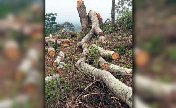 Negriteños saldrán a las calles a defender los recursos naturales