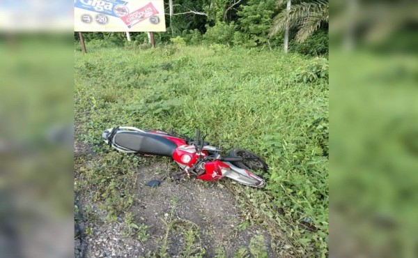 Muere motociclista tras impactar contra un perro en Esparta, Atlántida