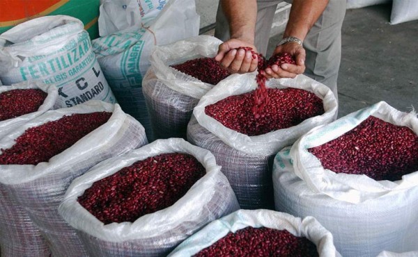 Honduras comienza exportación de frijol a EEUU y otros países