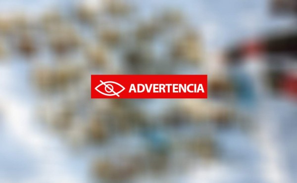 Rusia: Hallan una bolsa con 26 pares de manos en una isla de Siberia