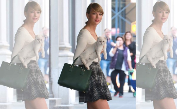 No eches al gato de casa