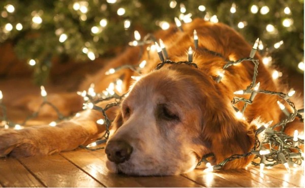 12 medidas para disfrutar una Navidad segura