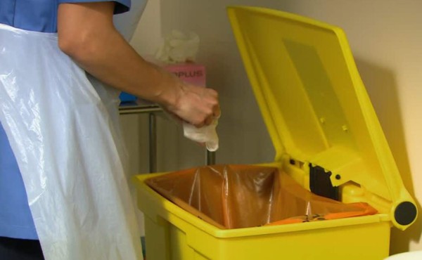 Consejos para alejar de tu casa moscas, mosquitos, hormigas, arañas